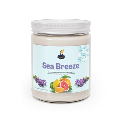 Sea Breeze Candle | Citrus, Lavender & Cedarwood | 9 oz