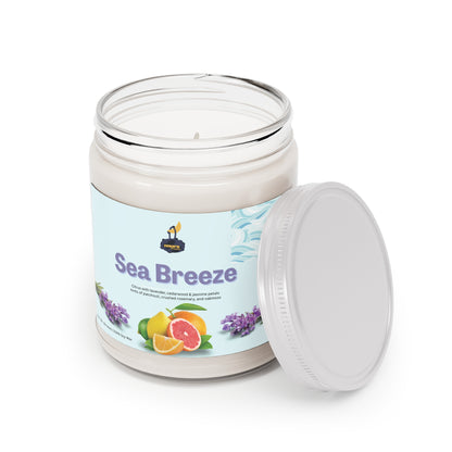Sea Breeze Candle | Citrus, Lavender & Cedarwood | 9 oz